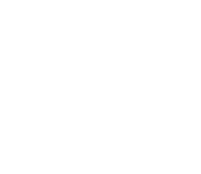 BOLD EDGE White Logo